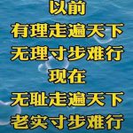 从一则网文留言看东莞的民生状况